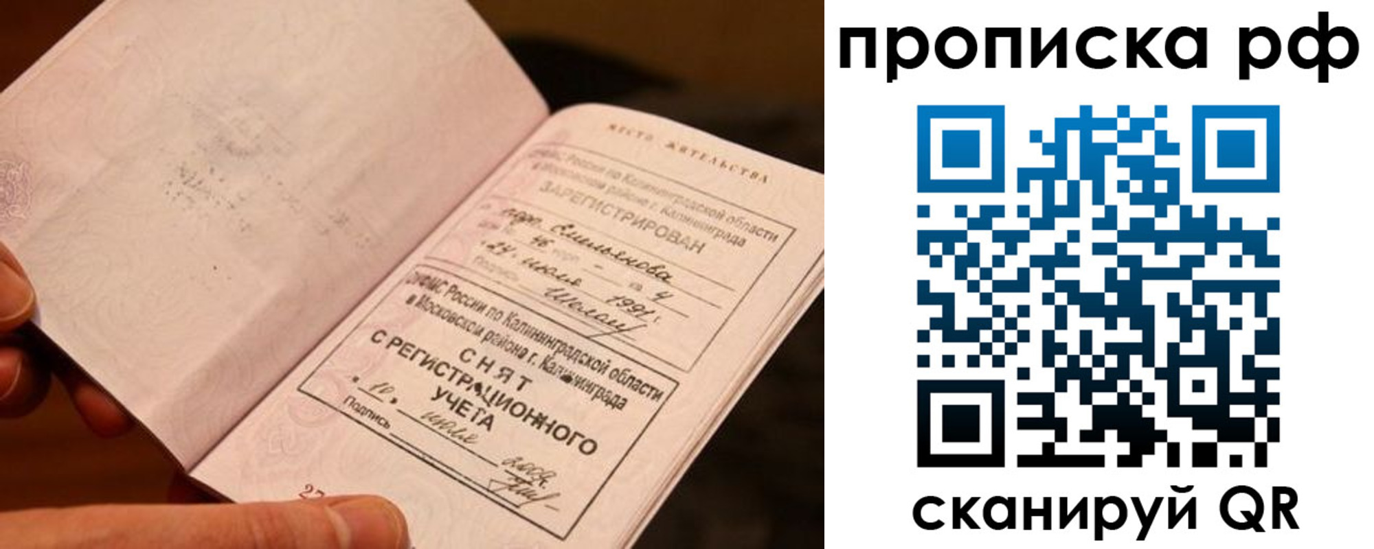 прописка гарантия в Красноармейске